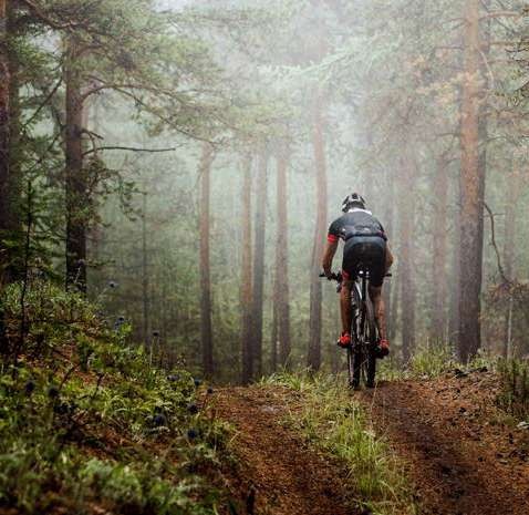 Cycling through the forest